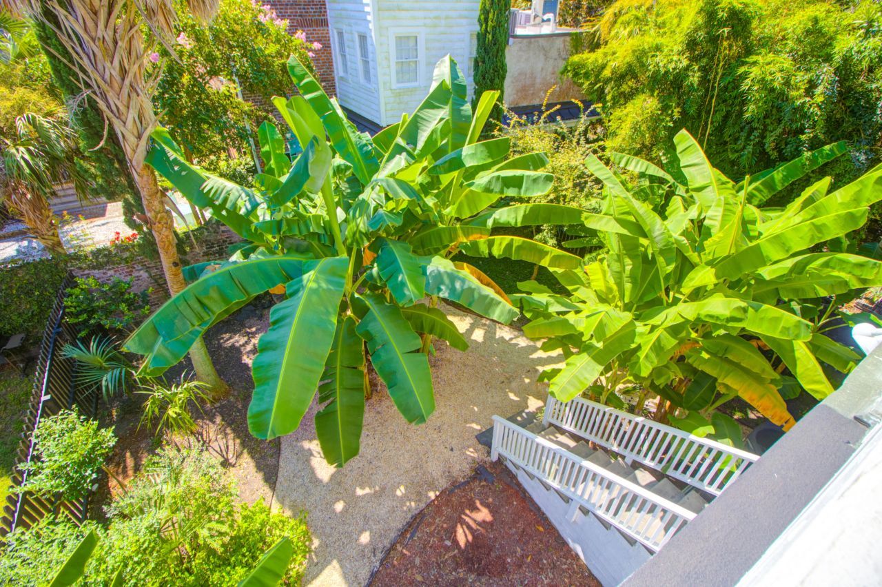 31 Society Street Photo 44