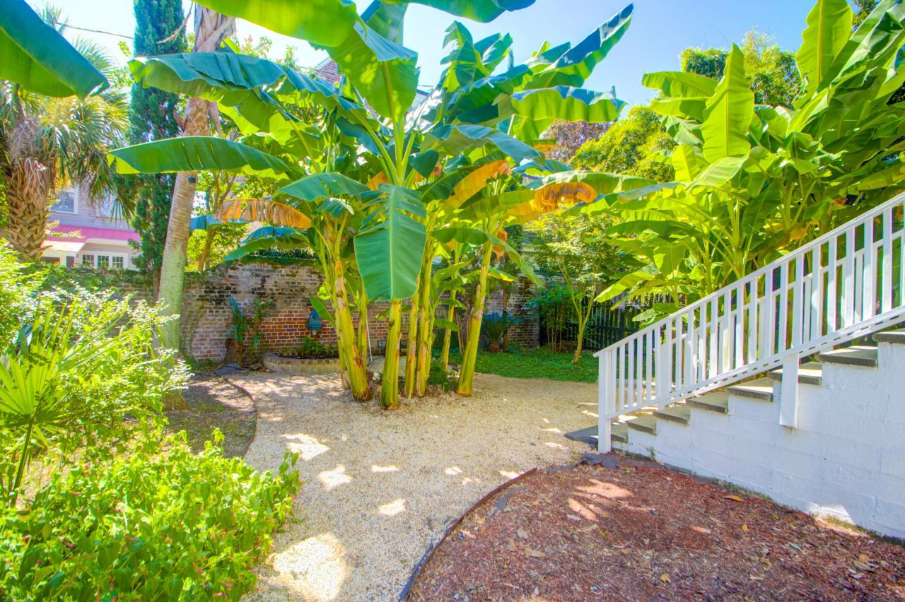 31 Society Street Photo 45