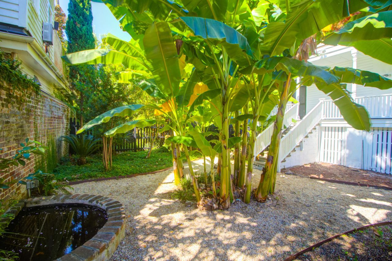 31 Society Street Photo 47