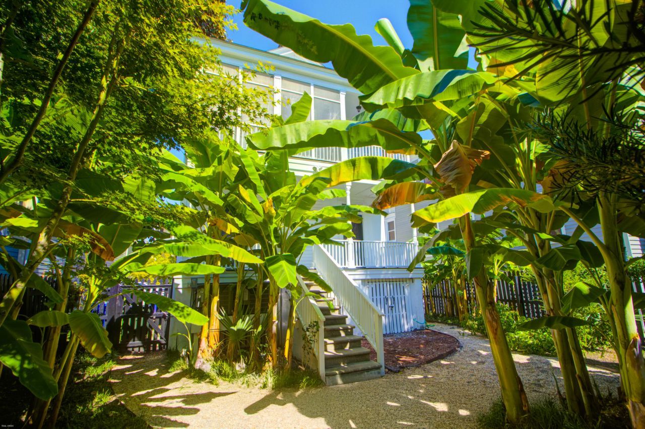 31 Society Street Photo 48