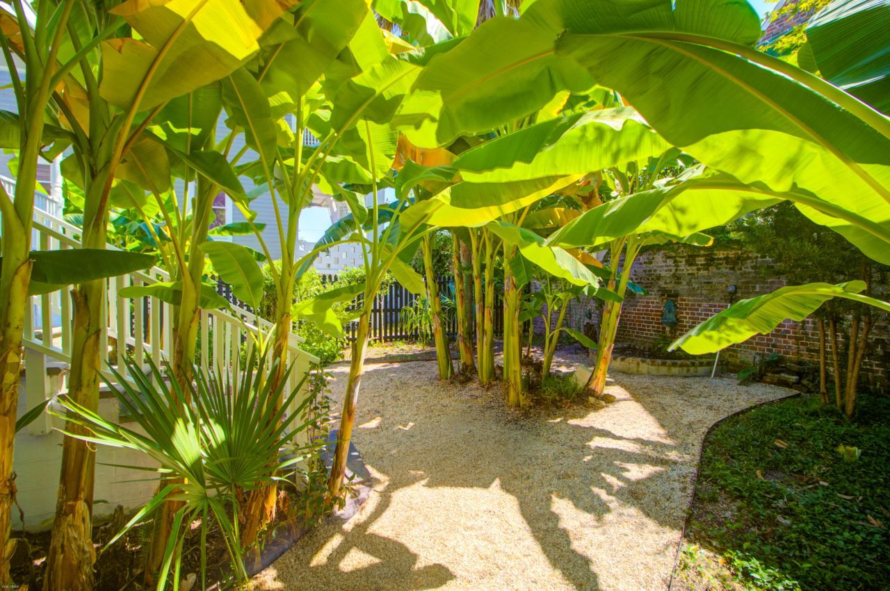 31 Society Street Photo 49