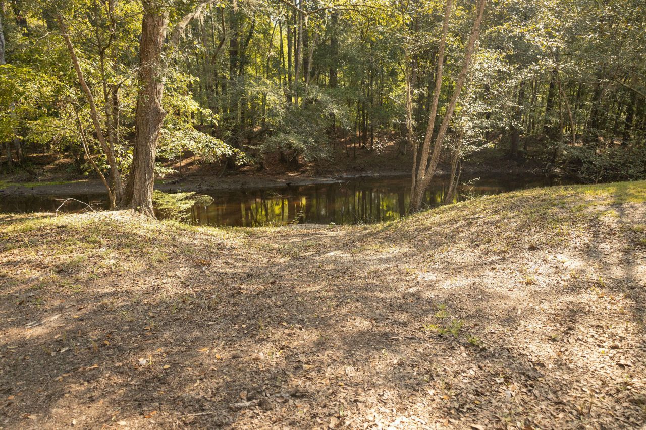 88 Turtle Court Photo 31