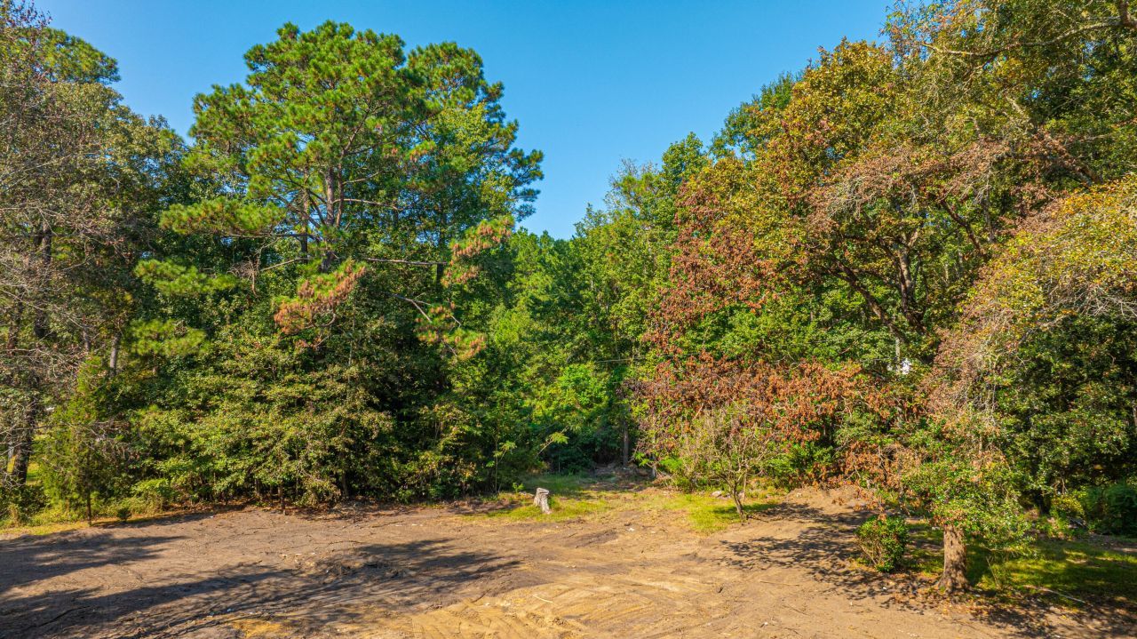 128 Sandridge Lane Photo 14