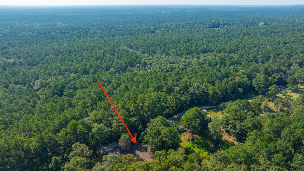 128 Sandridge Lane Photo 21