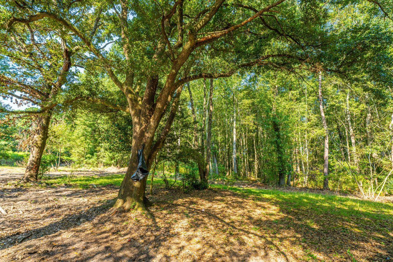 128 Sandridge Lane Photo 7