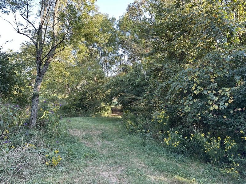 8212 B Camp Ernst Road, Burlington, KY 41005 Photo 12