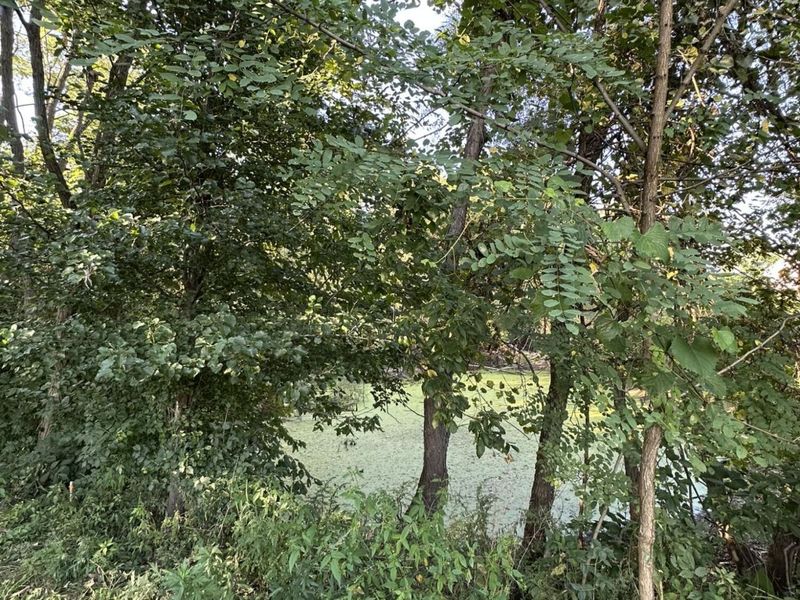 8212 B Camp Ernst Road, Burlington, KY 41005 Photo 14