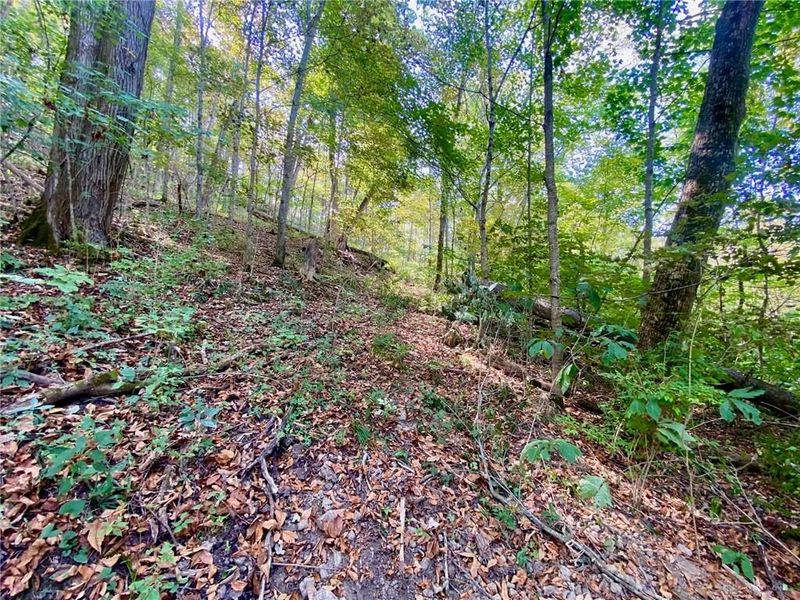 6.15 ac Eagle Creek Road, Ripley, OH 45167 Photo 4