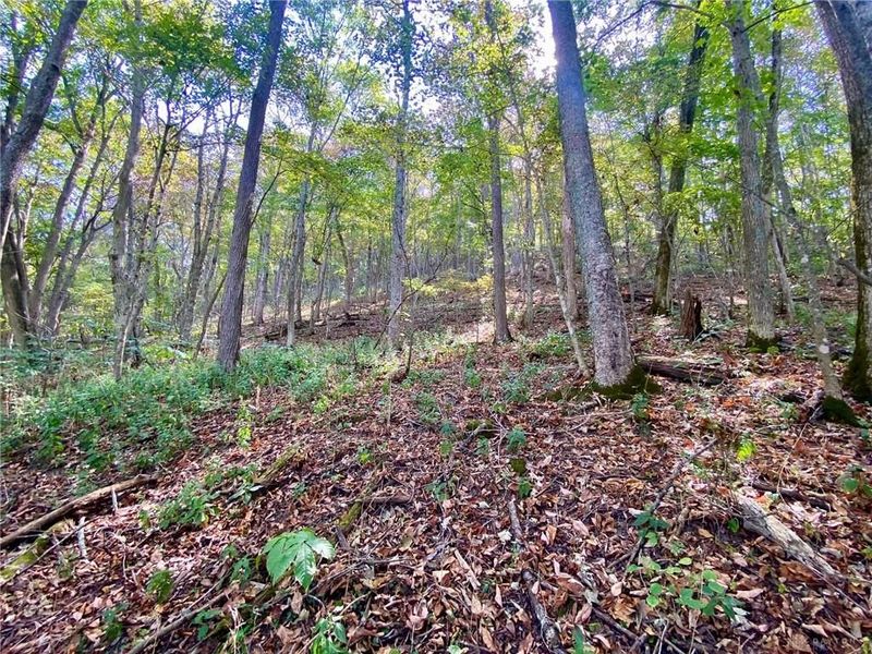 6.15 ac Eagle Creek Road, Ripley, OH 45167 Photo 6