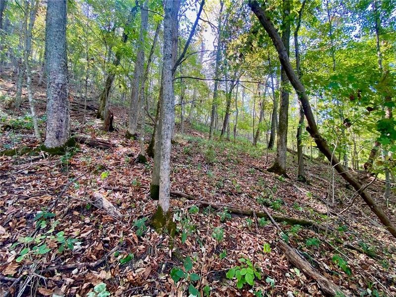 6.15 ac Eagle Creek Road, Ripley, OH 45167 Photo 7