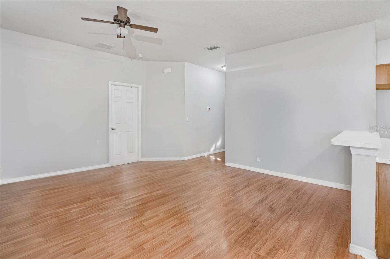 814 Fern Leaf Drive, Ruskin, FL 33570 Photo