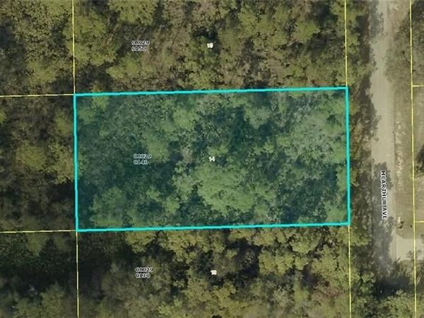 2203 McArthur AVE, ALVA, FL 33920