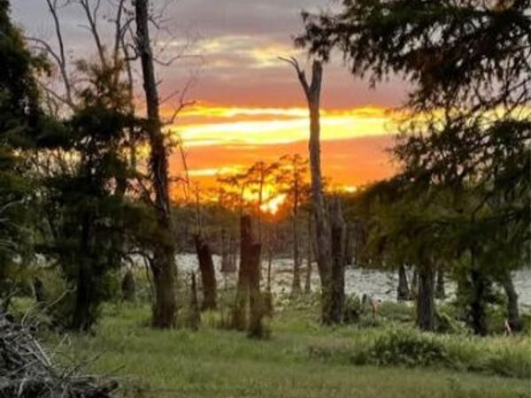 1743 The Rocks Road Road, Woodville, MS 39669