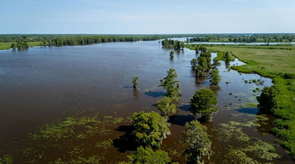 313 Rossdhu Avenue Photo 11