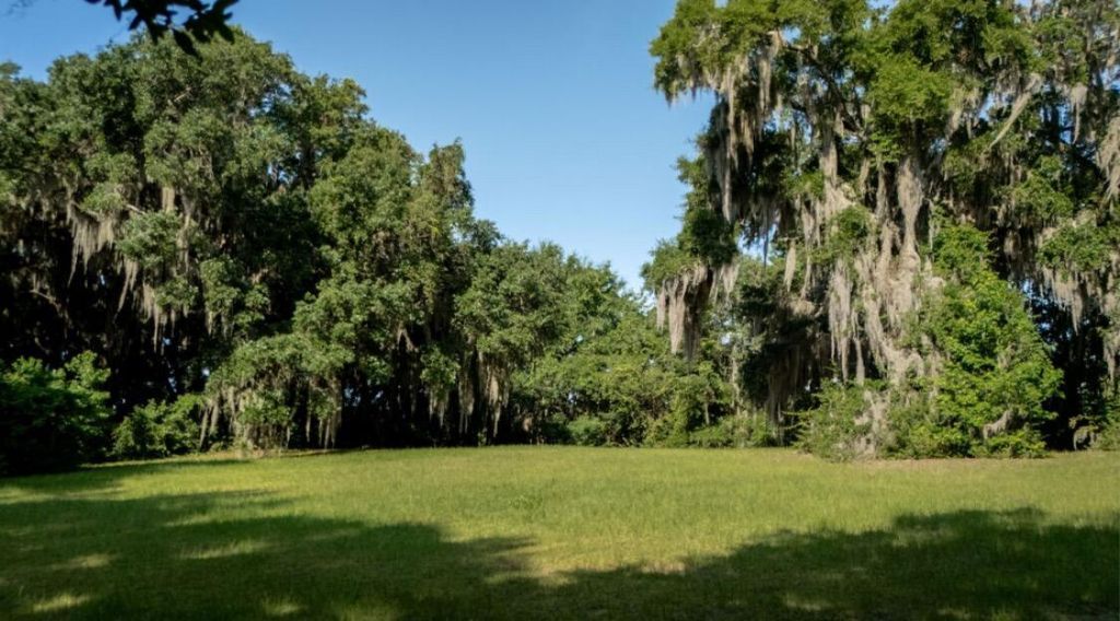 313 Rossdhu Avenue Photo 16