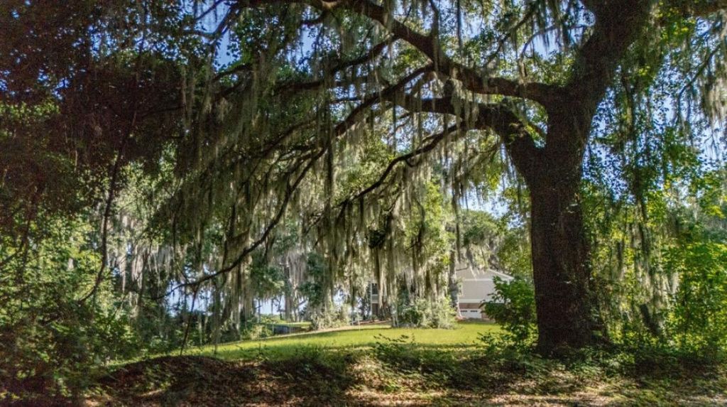 313 Rossdhu Avenue Photo 18