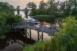 313 Rossdhu Avenue photo 4