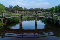 313 Rossdhu Avenue photo 4