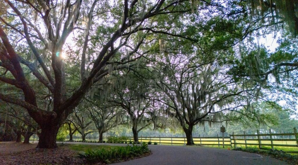 313 Rossdhu Avenue Photo 7