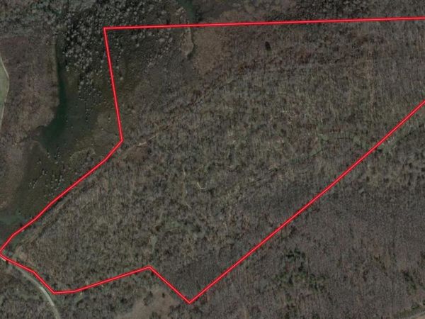 000 TEAGUE RD, Medon, TN 38356