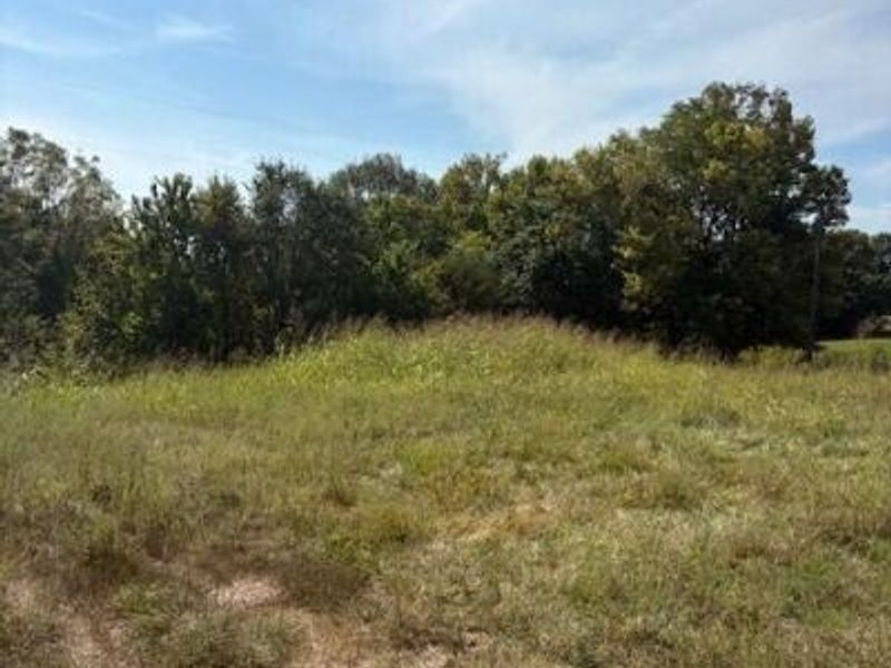 2190 Hwy 16, Glencoe, KY 41046 Photo 2