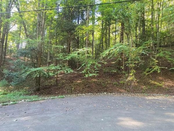 0 Cataula Court, Ellijay, GA 30540