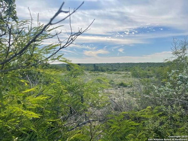 197 Live Oak Spur, George West, TX 78022