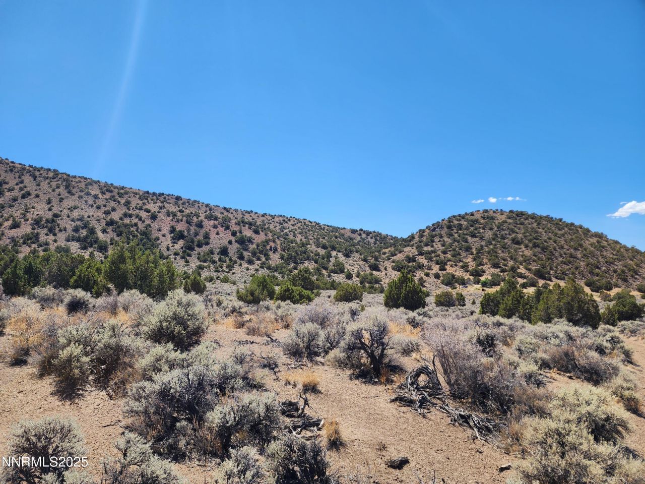 0 Right Hand Canyon Road, Reno, NV 89510 Photo