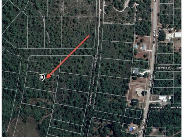 745 MARLIN STREET, LAKE PLACID, FL 33852