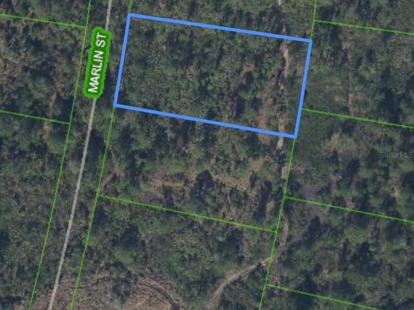 745 MARLIN STREET, LAKE PLACID, FL 33852