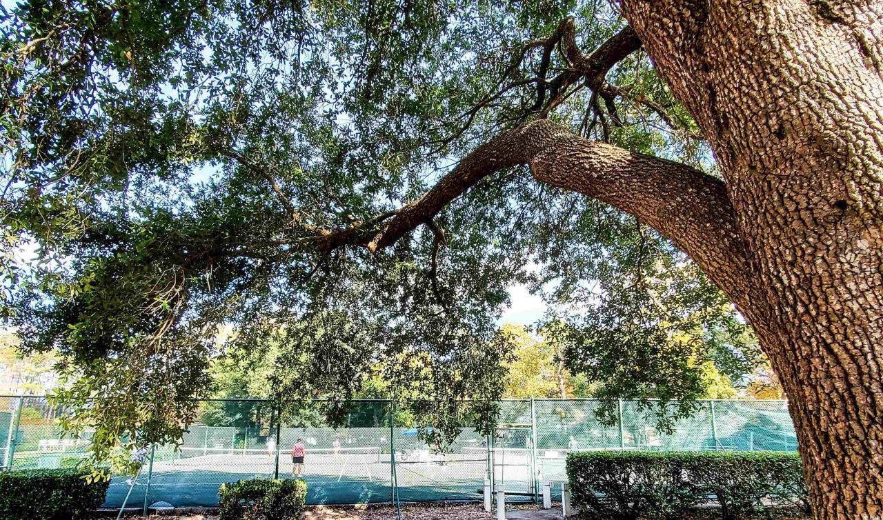 415 Ocean Creek Dr. Photo 21