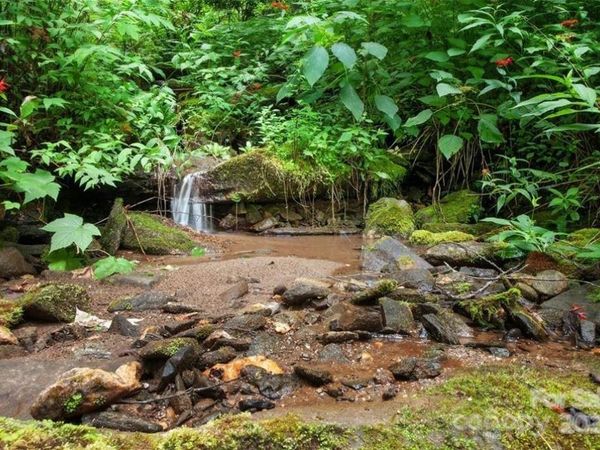 15 Mountain Mint Drive , Swannanoa, NC 28778