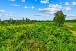 Tbd Carter Rd. photo 4