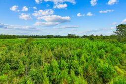 Tbd Carter Rd. photo 4