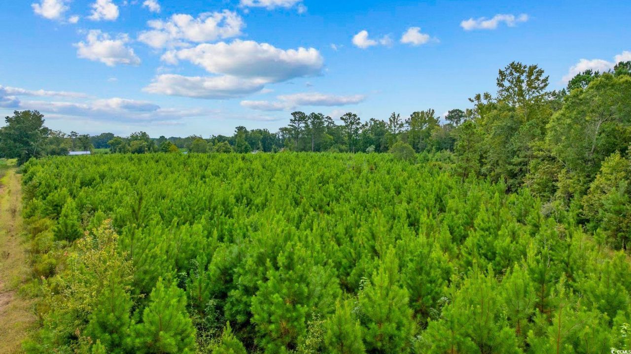 Tbd Carter Rd. Photo 4