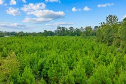 Tbd Carter Rd. photo 4