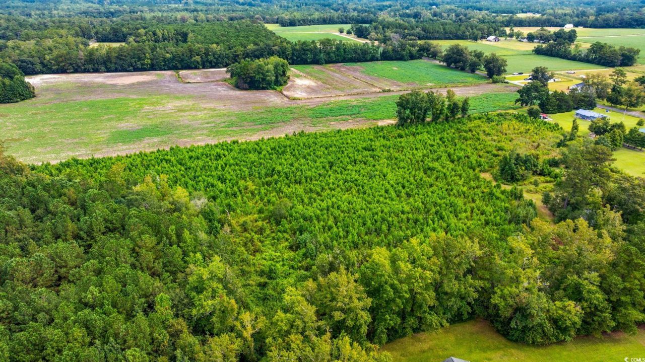 Tbd Carter Rd. Photo 5