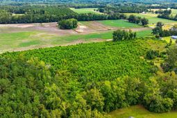 Tbd Carter Rd. photo 4