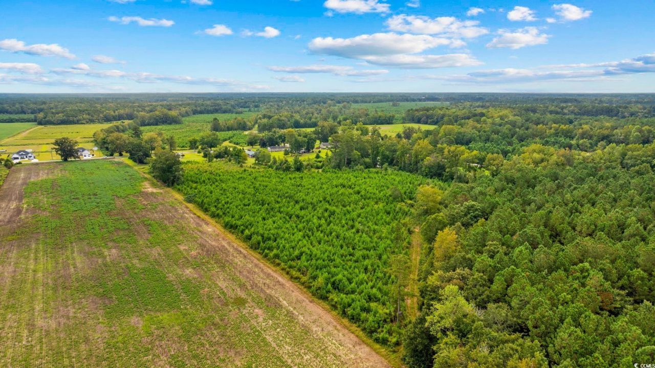 Tbd Carter Rd. Photo 7