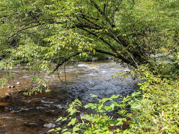 28 Caddis Court, Marshall, NC 28753