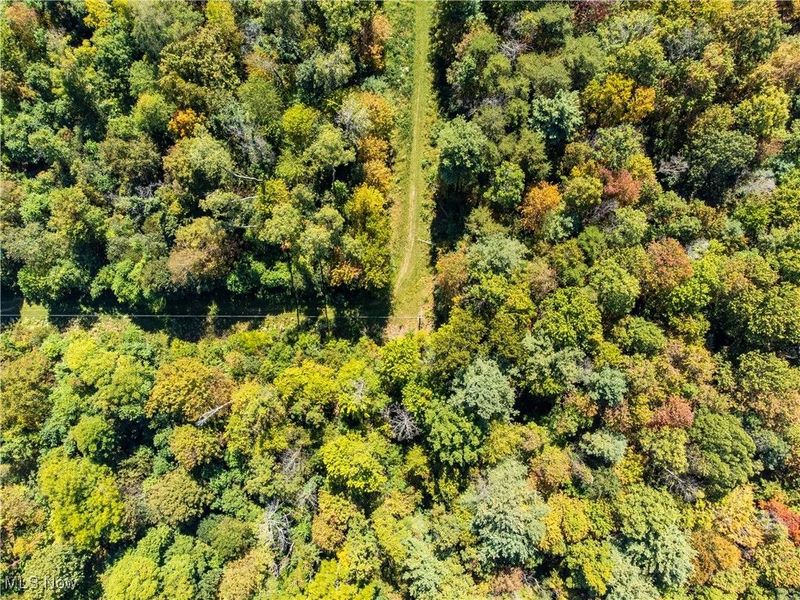 34561 Sunshine Road, Piedmont, OH 43983 Photo 16