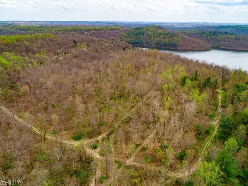 34561 Sunshine Road, Piedmont, OH 43983 Photo 28