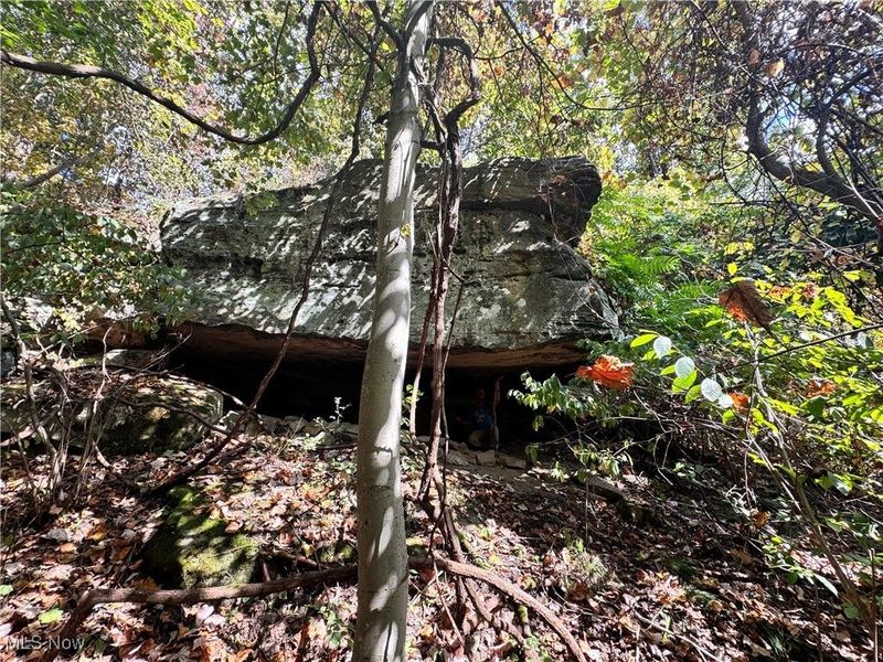 34561 Sunshine Road, Piedmont, OH 43983 Photo 31