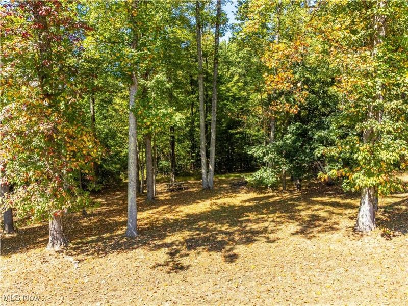 34561 Sunshine Road, Piedmont, OH 43983 Photo 8