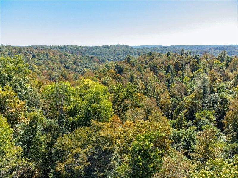 34683 Sunshine Road, Piedmont, OH 43983 Photo 16