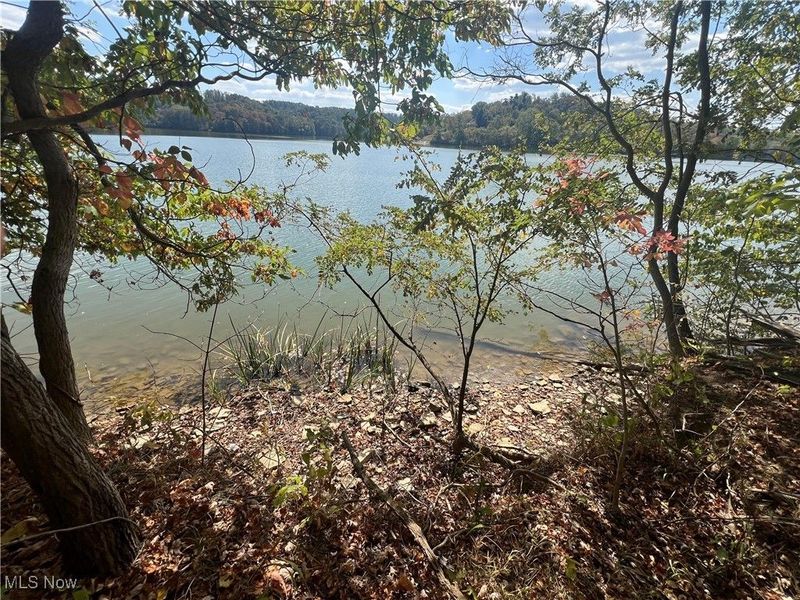 34683 Sunshine Road, Piedmont, OH 43983 Photo 27