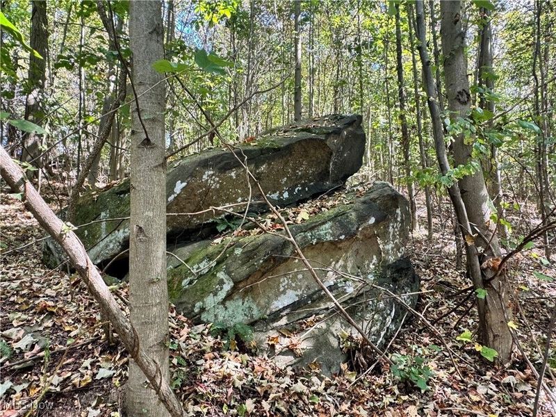 34683 Sunshine Road, Piedmont, OH 43983 Photo 6