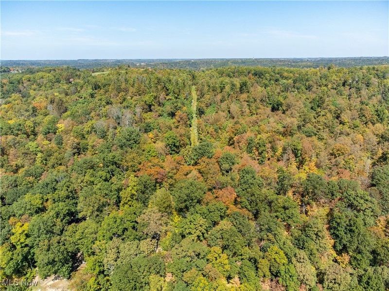 34683 Sunshine Road, Piedmont, OH 43983 Photo 8