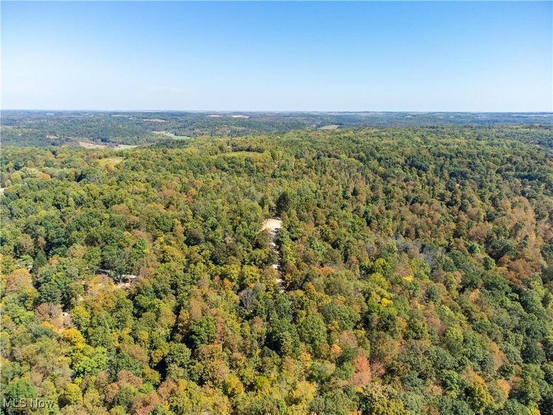 34683 Sunshine Road, Piedmont, OH 43983 Photo 9