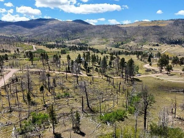 Lot 1131 Laker Ln, Fort Garland, CO 81133